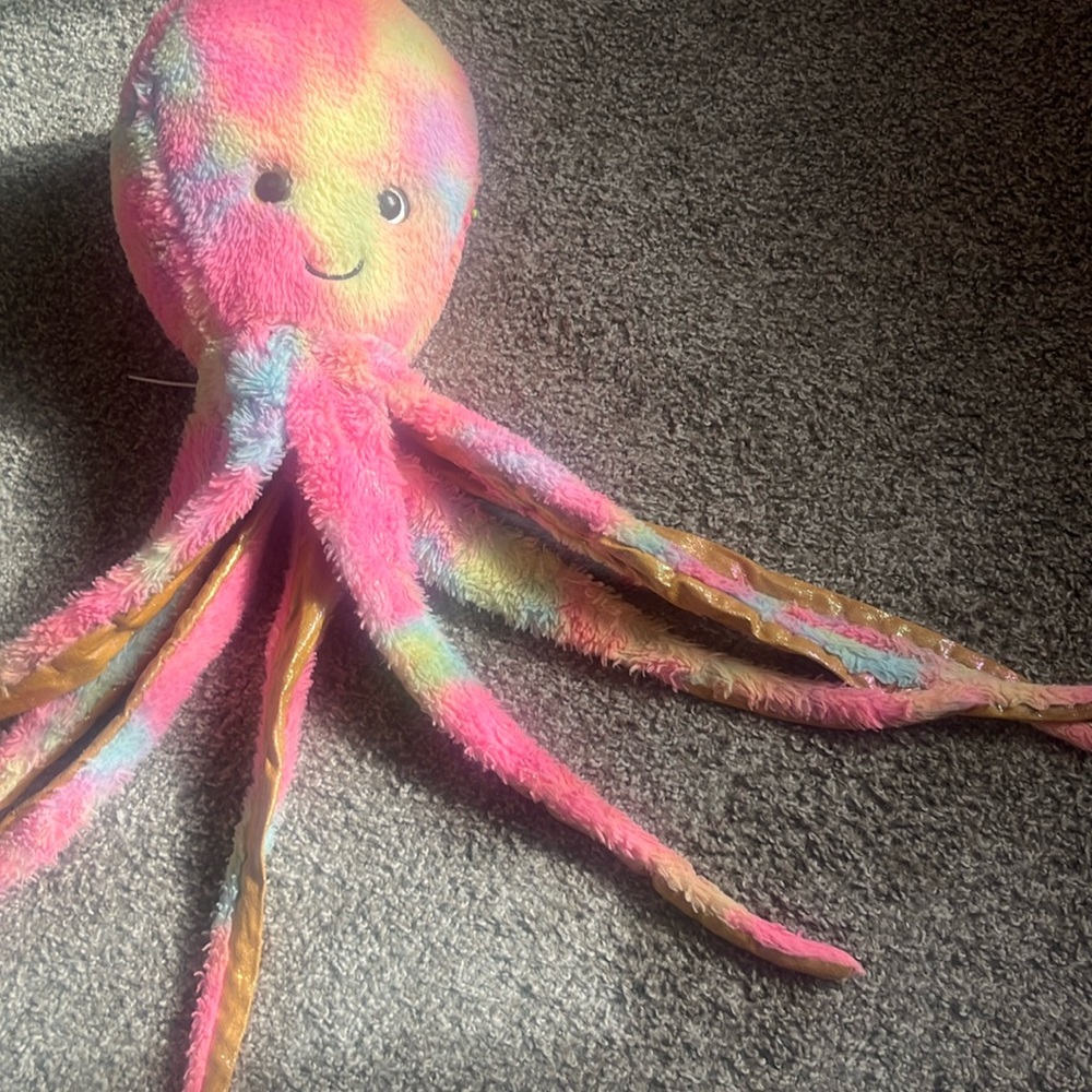 Pretty multi color octopus